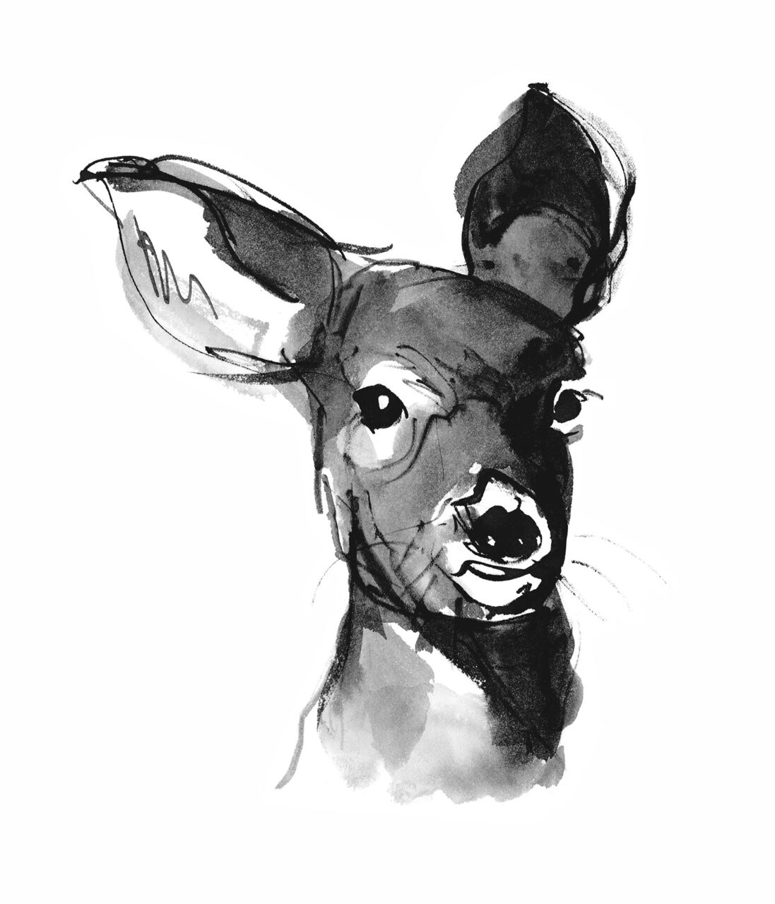 Deer illustration in black and white