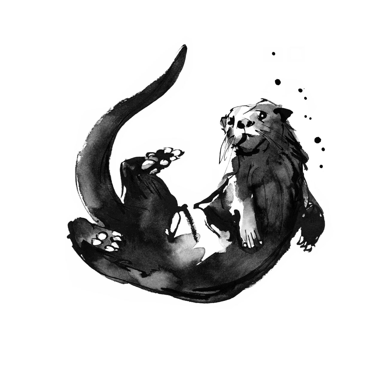 Otter illustration in black and white